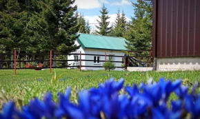Edelweiss Žabljak